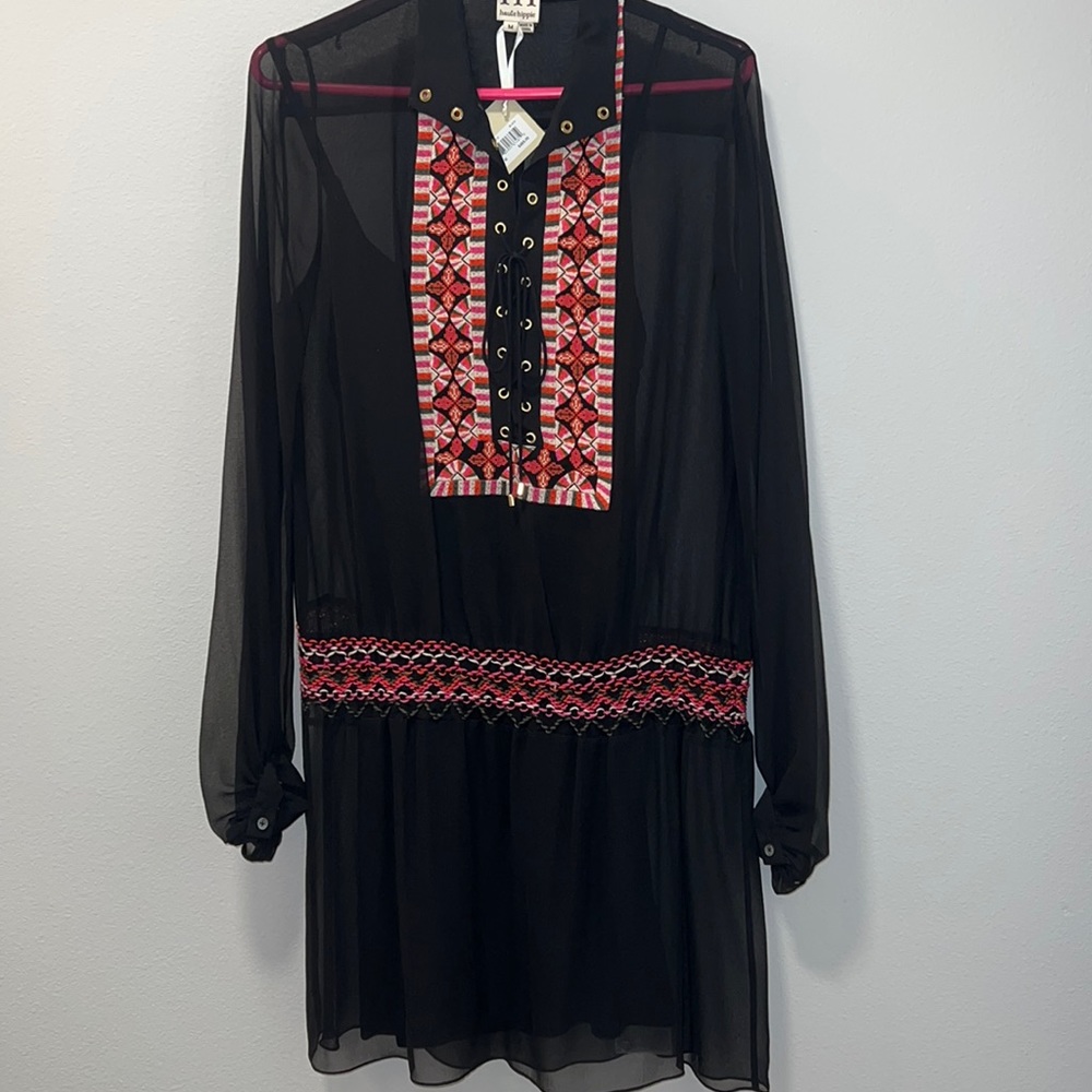 Haute Hippie Sheer Dress
